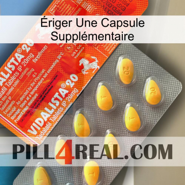 Ériger Une Capsule Supplémentaire new01.jpg
